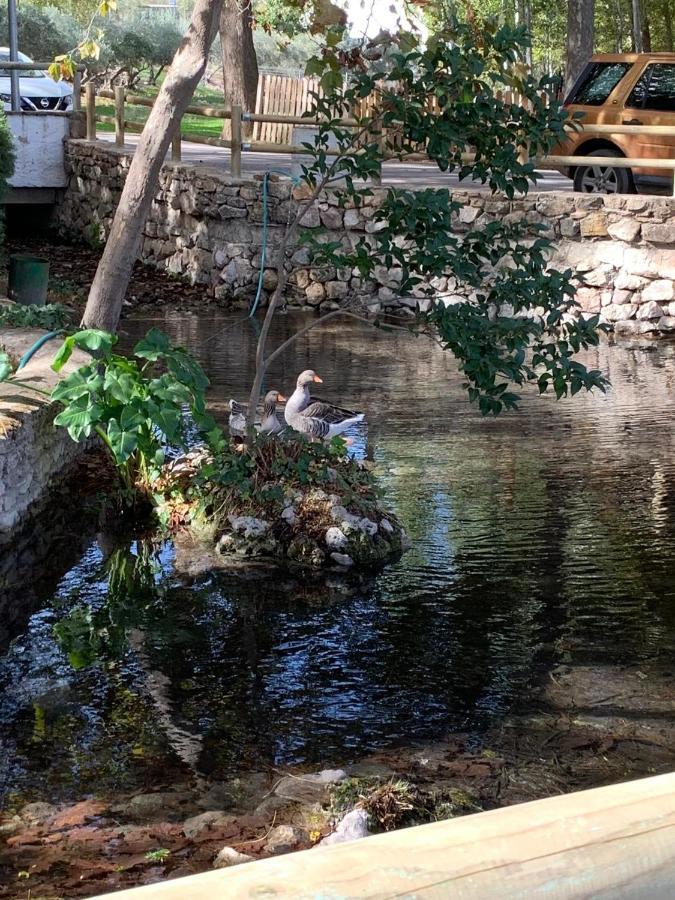 Villa Remedios Cuevas del Becerro 外观 照片