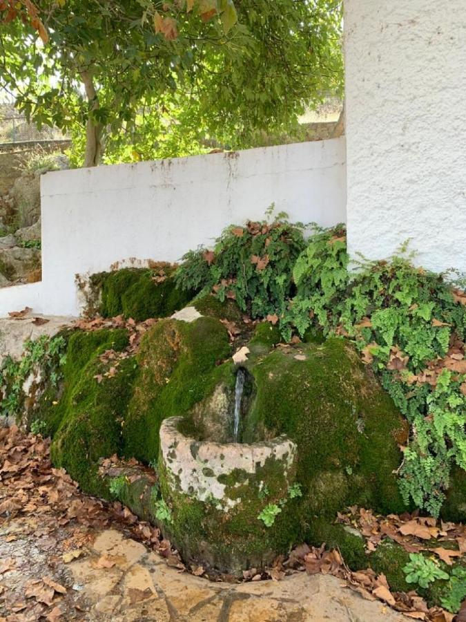 Villa Remedios Cuevas del Becerro 外观 照片